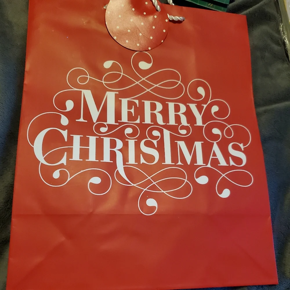 Hallmark Christmas Bags- Large 2pk